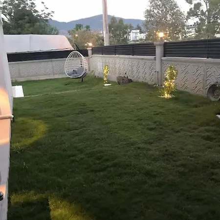 Yaz Rüyası 1 *